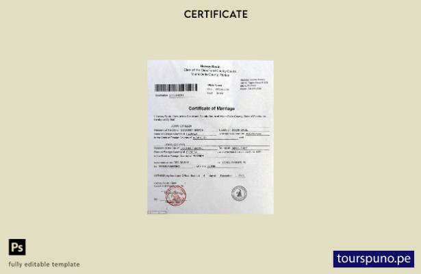 Plantilla de certificado de matrimonio de tribunales de condado y de circuito de